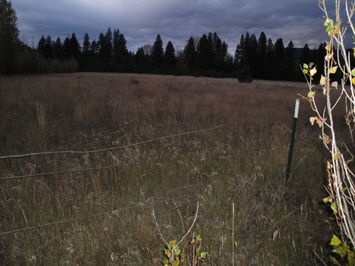 2203 Nelson Siding Road