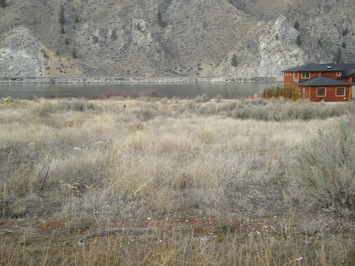 202 Vineyard