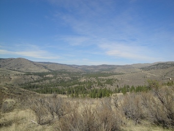 Lot 9 Sawtooth