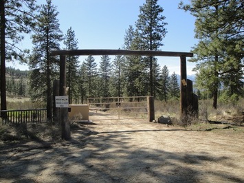 Lot 9 Sawtooth