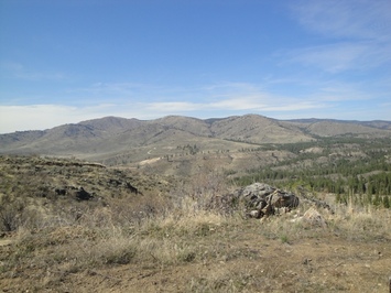 Lot 9 Sawtooth