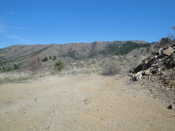 Lot 9 Sawtooth