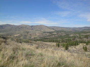 Lot 9 Sawtooth