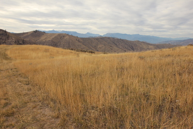 Two Fairview Canyon Lots – 165.7 Acres