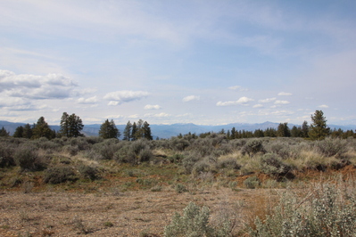 211 Falcon Ridge