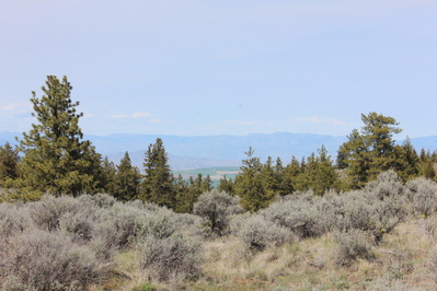 211 Falcon Ridge