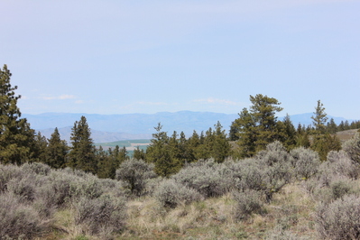 211 Falcon Ridge