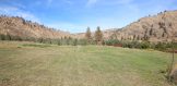 FIeld