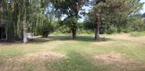 Rear Yard