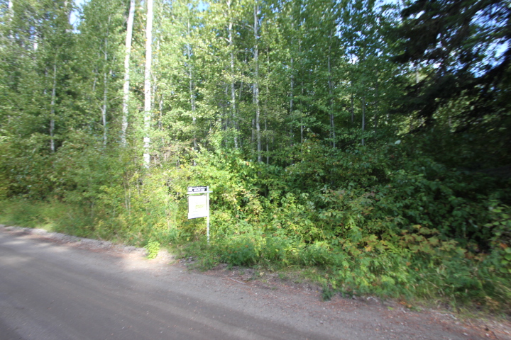 Two Lots in the Lake Wenatchee Area