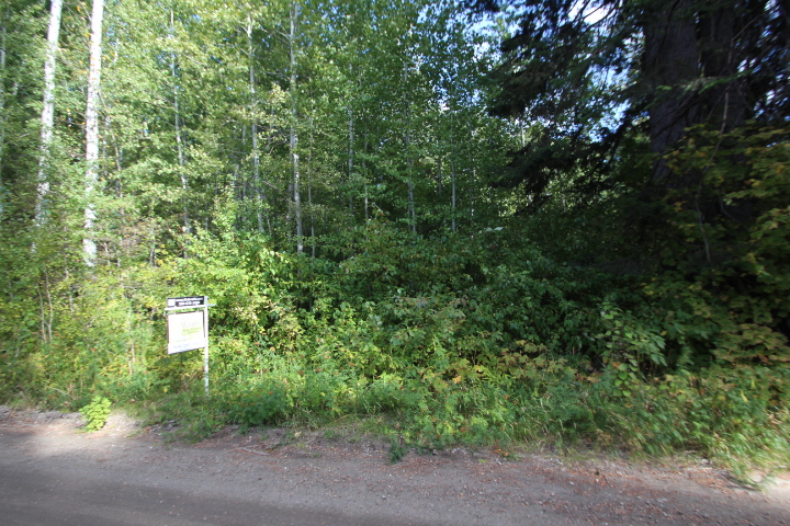 Two Lots in the Lake Wenatchee Area