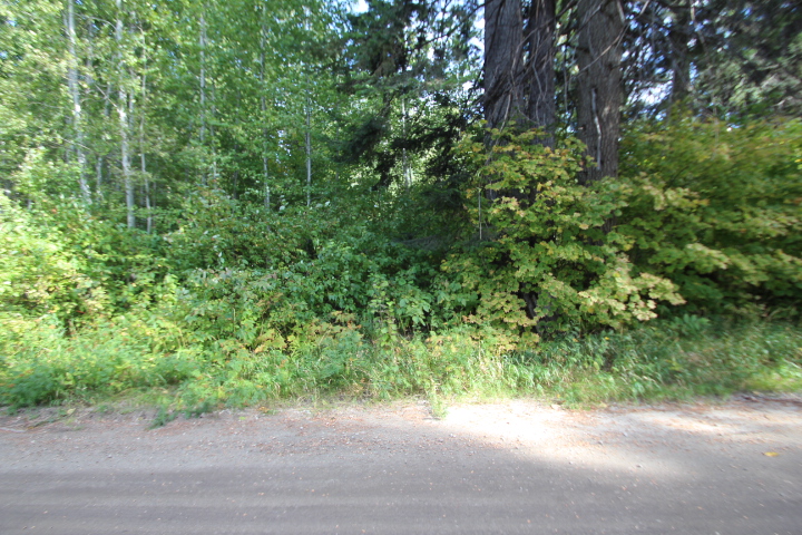 Two Lots in the Lake Wenatchee Area