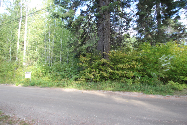 Two Lots in the Lake Wenatchee Area