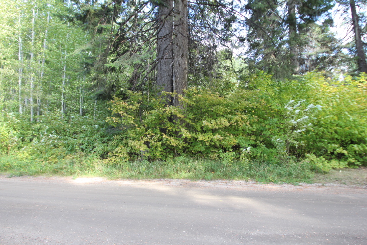 Two Lots in the Lake Wenatchee Area