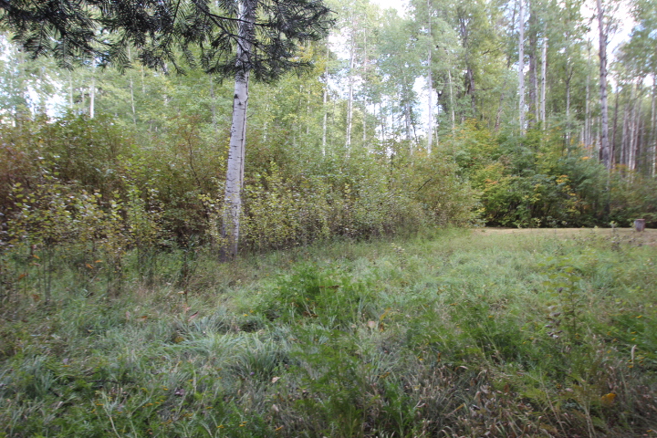 Two Lots in the Lake Wenatchee Area