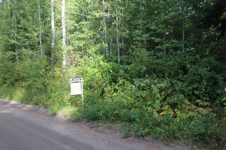 Two Lots in the Lake Wenatchee Area