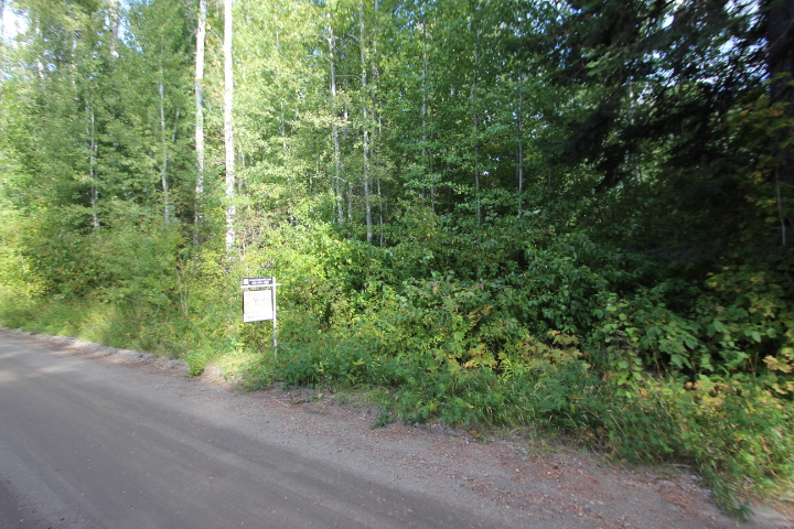 Two Lots in the Lake Wenatchee Area