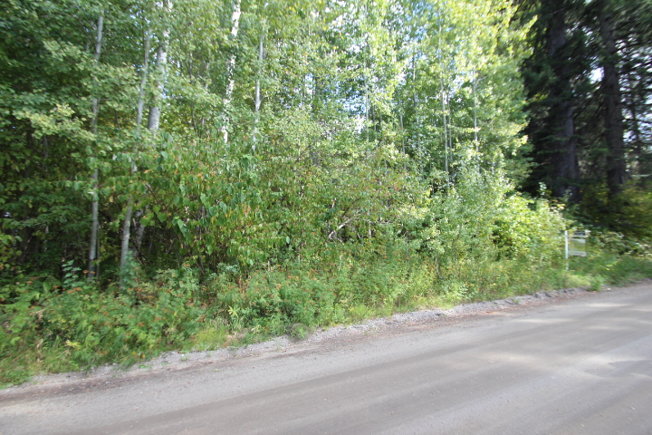 Two Lots in the Lake Wenatchee Area