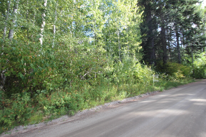 Two Lots in the Lake Wenatchee Area